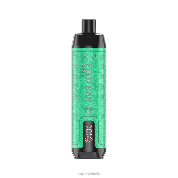 VapSolo SHISHA vaporizzatore usa e getta | Vapsolo Flavours T0NV7 menta limone